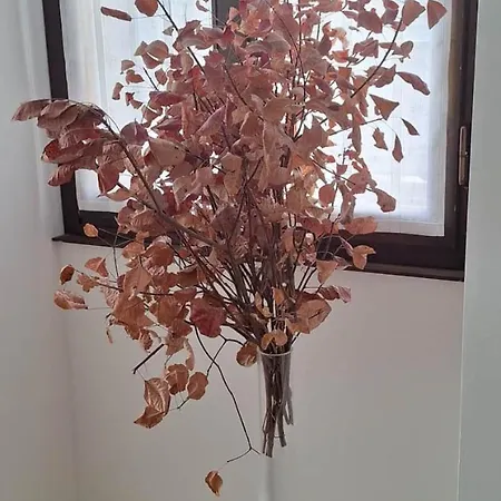 Apartamento Trieste Guest House