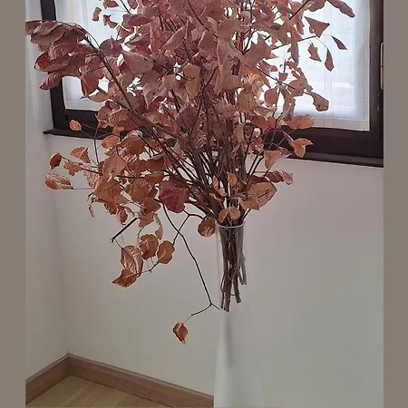 Trieste Guest House Apartamento *