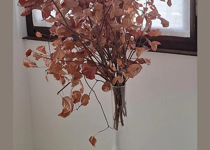 Trieste guest house Appartement *